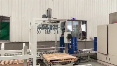 Paletizador cartesiano tipo pórtico